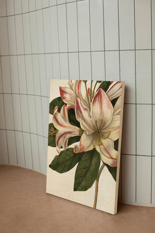 Botanique III no Words Print