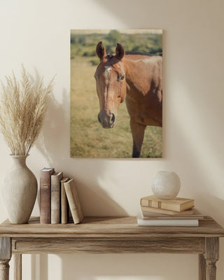 Polo Pony II Print