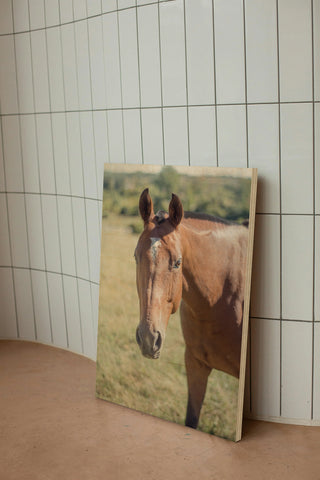 Polo Pony II Print