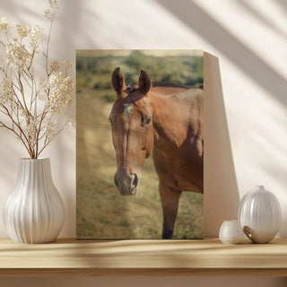 Polo Pony II Print