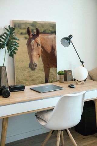 Polo Pony II Print