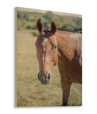 Polo Pony II Print