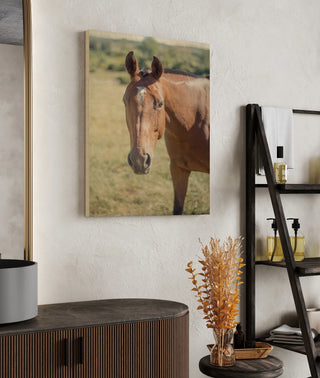 Polo Pony II Print