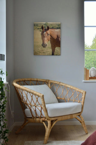 Polo Pony II Print