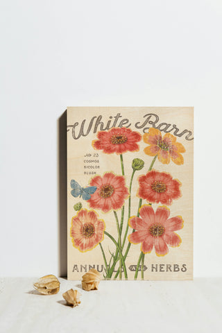White Barn Flowers III Print