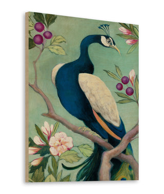 Pretty Peacock I Print