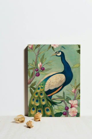 Pretty Peacock II Print