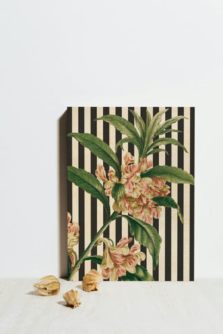 Herbal Botanical XXVI Bold Crop Print