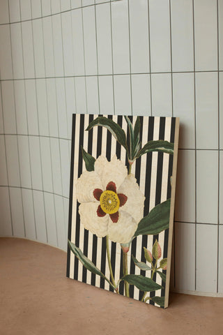 Herbal Botanical XXVII Bold Crop Print