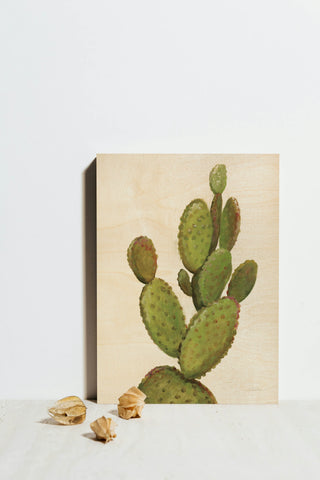 Front Yard Cactus I Crop Print