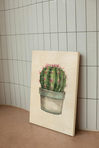 Mixed Greens Succulent II Print