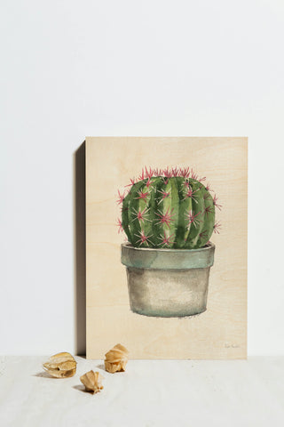 Mixed Greens Succulent II Print