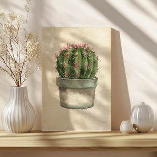 Mixed Greens Succulent II Print