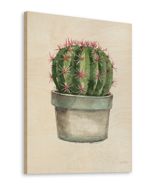 Mixed Greens Succulent II Print