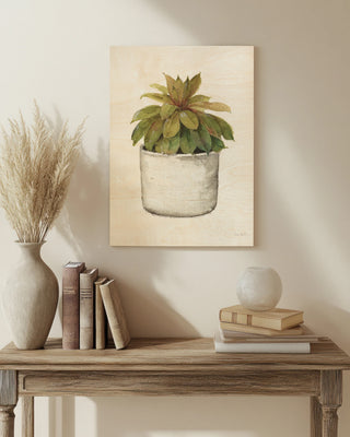 Mixed Greens Succulent III Print