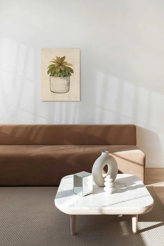 Mixed Greens Succulent III Print