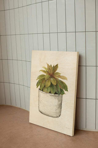 Mixed Greens Succulent III Print