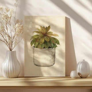 Mixed Greens Succulent III Print