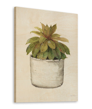 Mixed Greens Succulent III Print