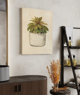 Mixed Greens Succulent III Print
