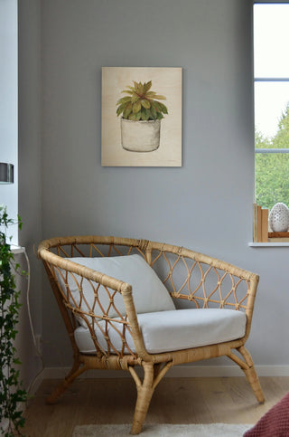 Mixed Greens Succulent III Print
