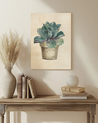 Mixed Greens Succulent IV Print