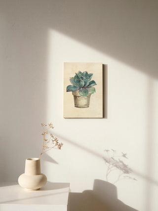 Mixed Greens Succulent IV Print