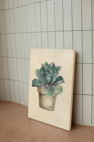 Mixed Greens Succulent IV Print