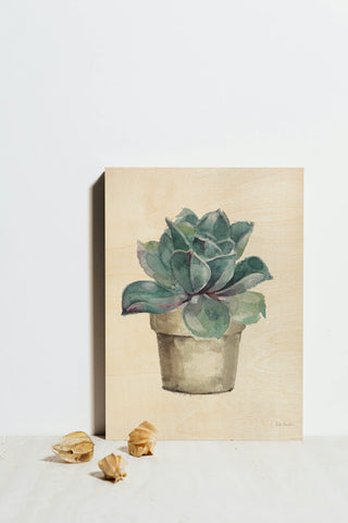 Mixed Greens Succulent IV Print