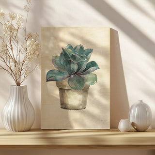 Mixed Greens Succulent IV Print