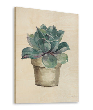 Mixed Greens Succulent IV Print