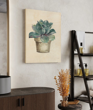 Mixed Greens Succulent IV Print