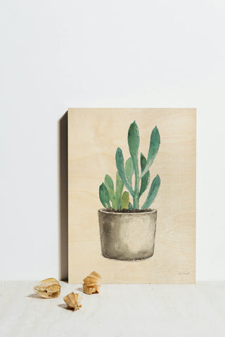 Mixed Greens Succulent V Print