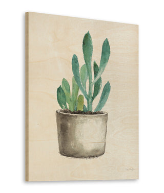 Mixed Greens Succulent V Print