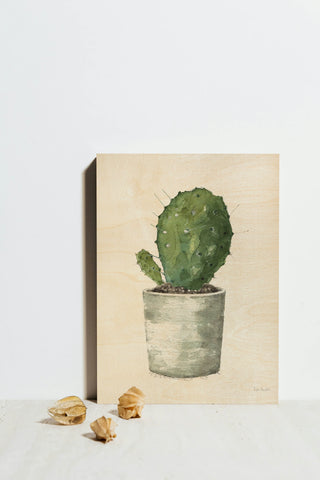 Mixed Greens Succulent VI Print