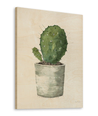 Mixed Greens Succulent VI Print