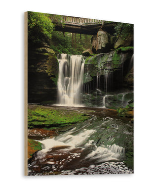 Elakala Falls West I Print
