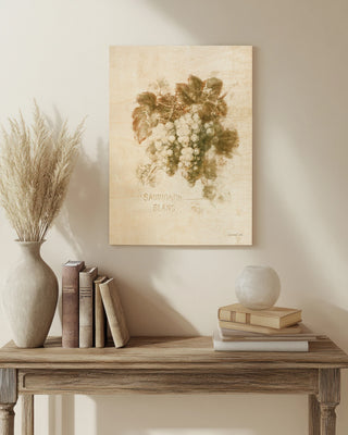 Sauvignon Blanc Print
