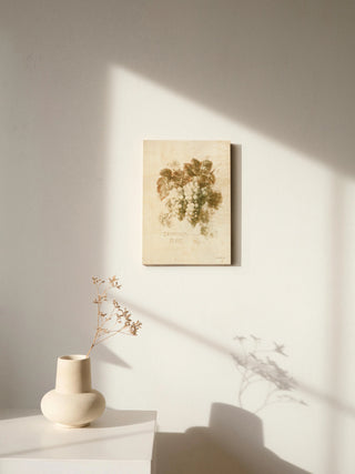 Sauvignon Blanc Print