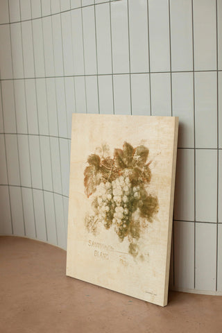 Sauvignon Blanc Print