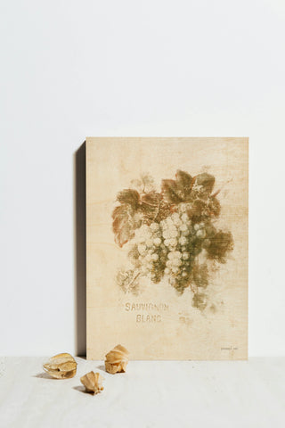 Sauvignon Blanc Print