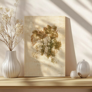 Sauvignon Blanc Print