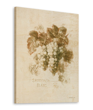 Sauvignon Blanc Print