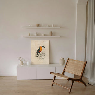 Toucan du Para Print