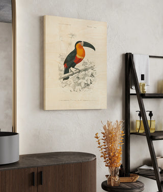 Toucan du Para Print