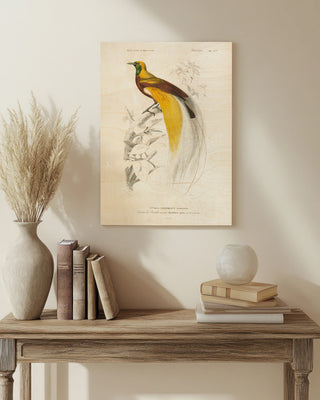Oiseaux de Paradis Print