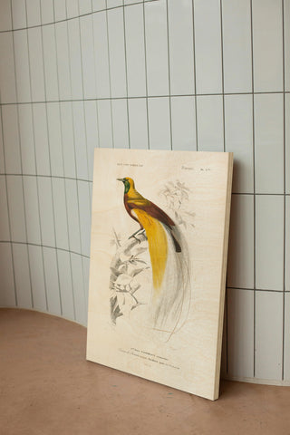 Oiseaux de Paradis Print