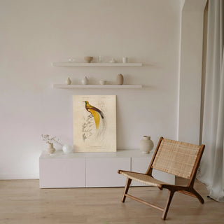 Oiseaux de Paradis Print