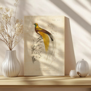 Oiseaux de Paradis Print