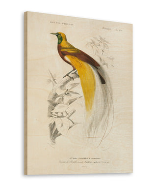 Oiseaux de Paradis Print